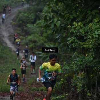 Runner Photo 8245099