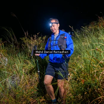 Runner Photo 82452