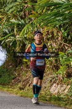 Runner Photo 82471