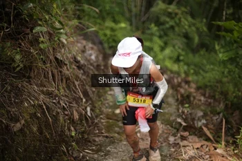 Runner Photo 82472