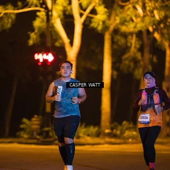 Runner Photo 8247328
