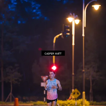 Runner Photo 8248241