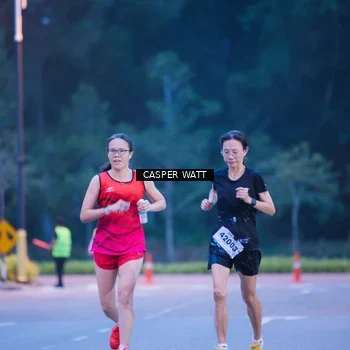 Runner Photo 8248412