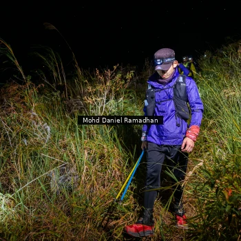 Runner Photo 82561
