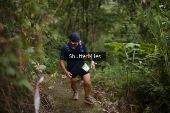 Runner Photo 82596