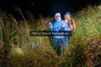 Runner Photo 82631