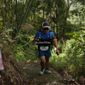 Runner Photo 82708