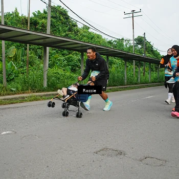 Runner Photo 8271079