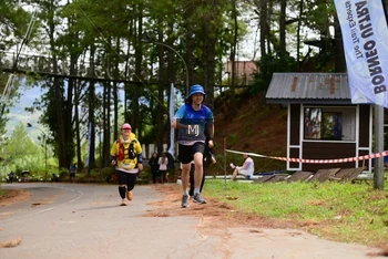 Runner Photo 82896