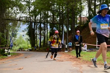 Runner Photo 82897