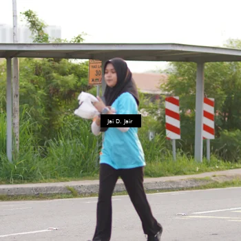 Runner Photo 8296395