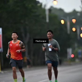 Runner Photo 8309740