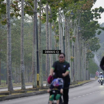 Runner Photo 8310769