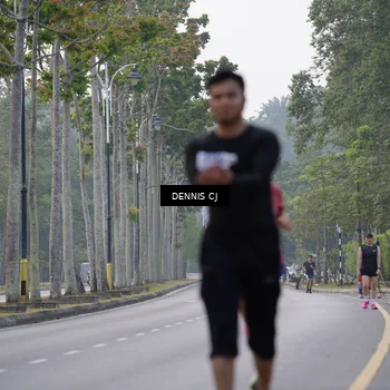 Runner Photo 8313185