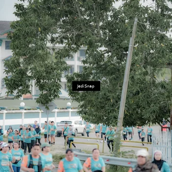 Runner Photo 8313492