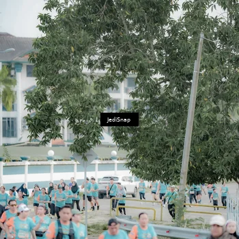 Runner Photo 8313495