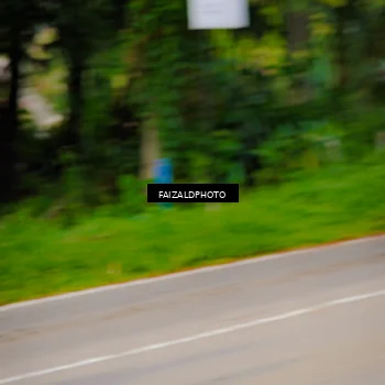 Runner Photo 8316970