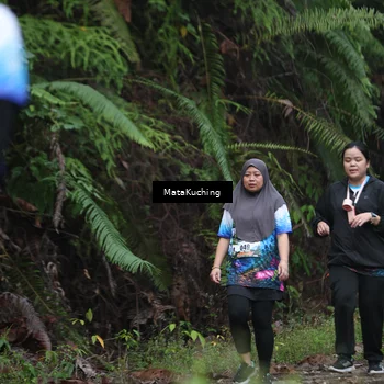 Runner Photo 8323427