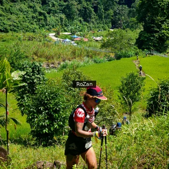 Runner Photo 83244