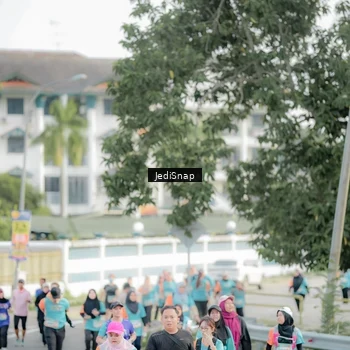 Runner Photo 8327185