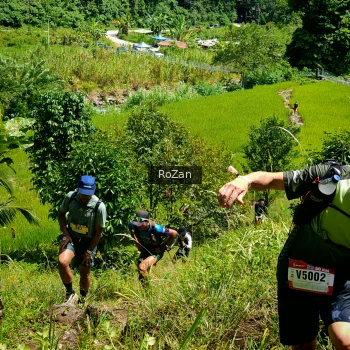 Runner Photo 83304