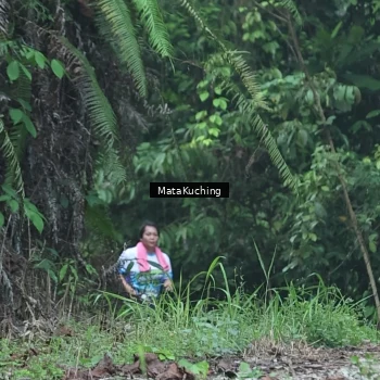 Runner Photo 8331811