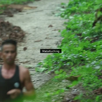 Runner Photo 8331931