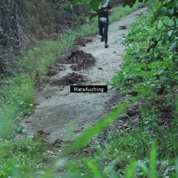 Runner Photo 8332590