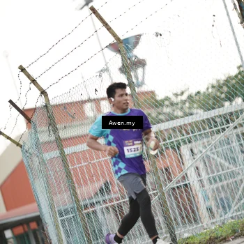 Runner Photo 8334895