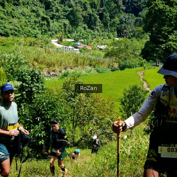 Runner Photo 83372
