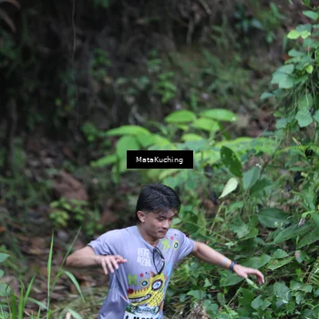 Runner Photo 8341501