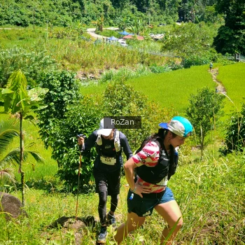 Runner Photo 83418