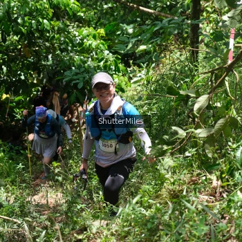 Runner Photo 83430