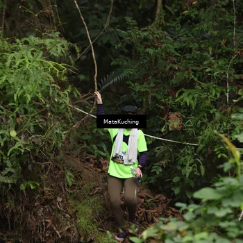 Runner Photo 8343749