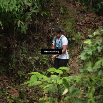 Runner Photo 8343813
