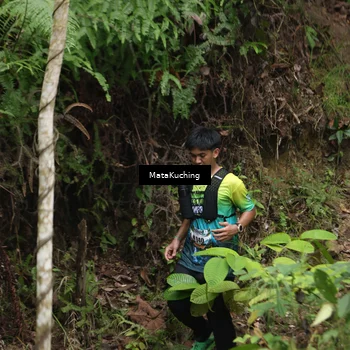 Runner Photo 8343817