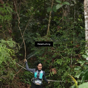 Runner Photo 8343876