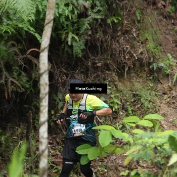 Runner Photo 8344444