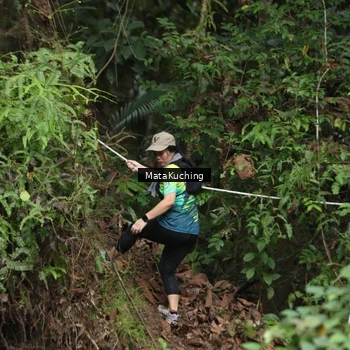 Runner Photo 8344838