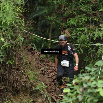 Runner Photo 8345484