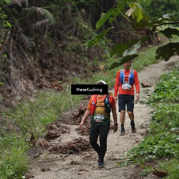 Runner Photo 8345698