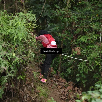 Runner Photo 8345923