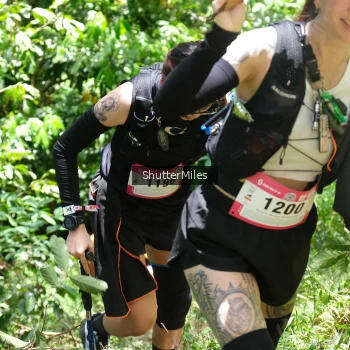 Runner Photo 83514