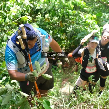 Runner Photo 83523
