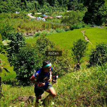Runner Photo 83550