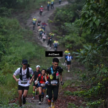 Runner Photo 8359477