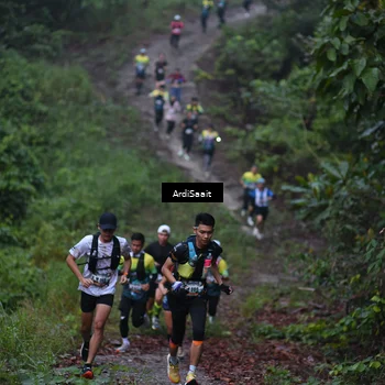 Runner Photo 8359479