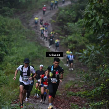Runner Photo 8359494