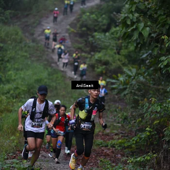 Runner Photo 8359496