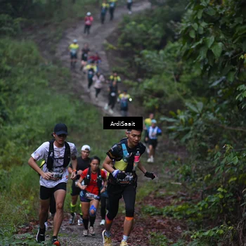 Runner Photo 8359497